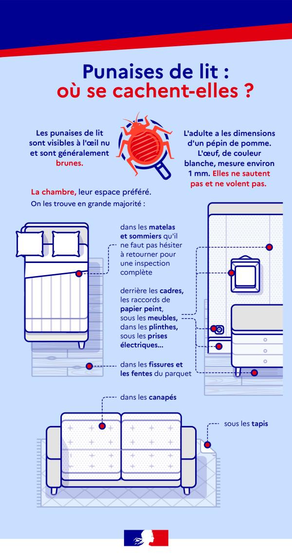 Nouvelle fenêtre : ecologie.gouv.fr/punaises-lit-letat-vous-accompagne