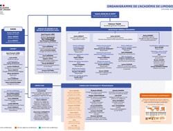 Organigramme
