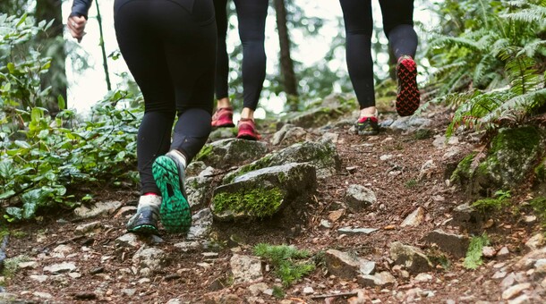 trail